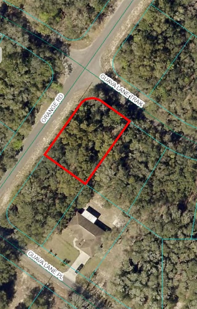 Listing photo 2 for 0 Guava Lane Trak Lot 1, Ocklawaha FL 32179