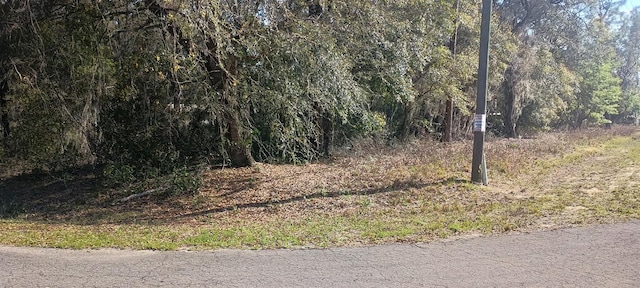 0 Guava Lane Trak Lot 1, Ocklawaha FL, 32179 land for sale