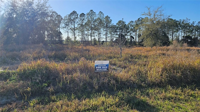 00 Ash Rd, Ocala FL, 34472 land for sale