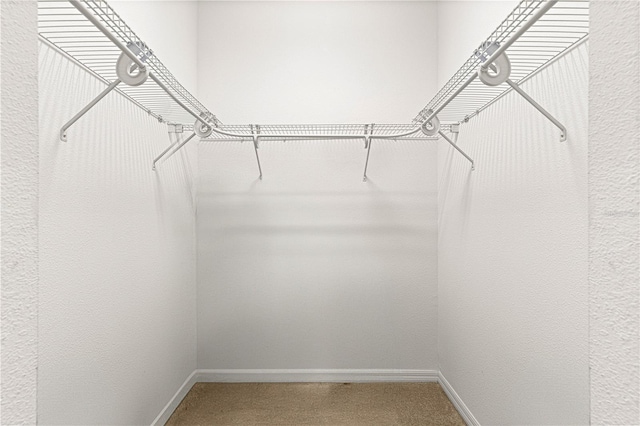 spacious closet with carpet flooring