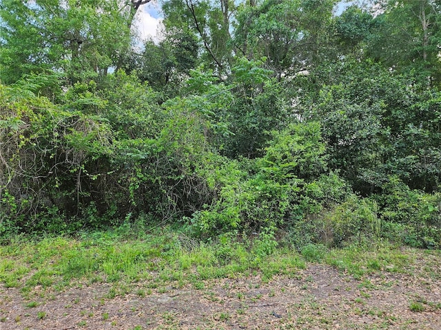 0 SE 138th St, Summerfield, FL 34491