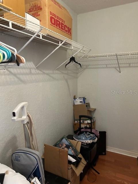 spacious closet featuring wood finished floors