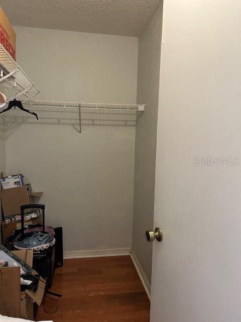 walk in closet featuring wood finished floors
