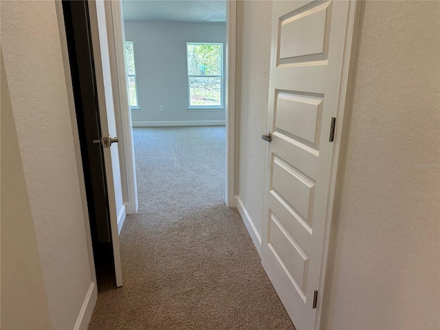 4528 SW 90th Lane Rd, Ocala, FL 34476 - corridor with carpet flooring, a textured wall, and baseboards