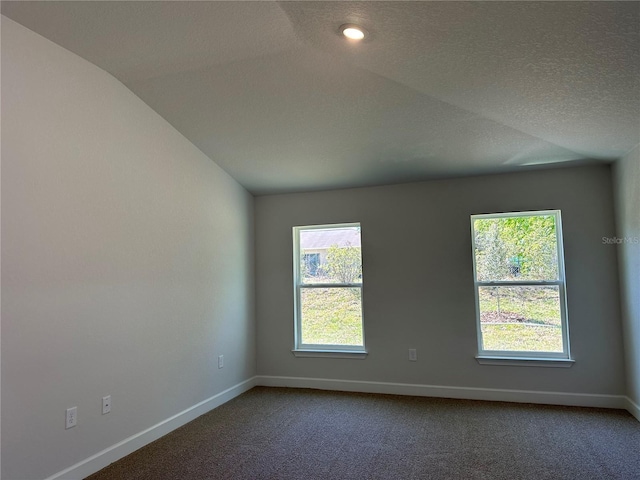 4528 SW 90th Lane Rd, Ocala, FL 34476 - unfurnished room featuring baseboards, lofted ceiling, plenty of natural light, dark colored carpet, and a textured ceiling