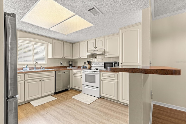 10980 SW 62nd Avenue Rd, Ocala, FL 34476 - kitchen with visible vents, under cabinet range hood, light wood-type flooring, appliances with stainless steel finishes, and a sink