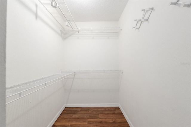 9 Hemlock Run, Ocala, FL 34472 - spacious closet with dark wood-style floors
