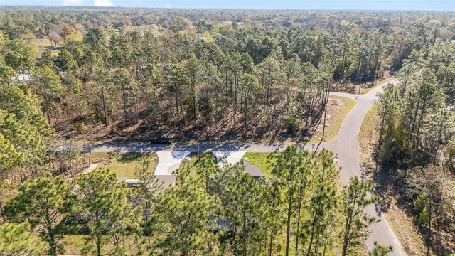 770 NE 151st Ct, Williston, FL 32696 - photo 47