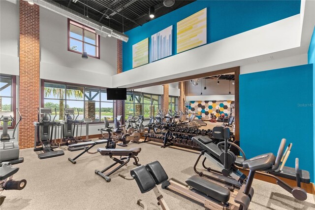 exercise room featuring a towering ceiling, rail lighting, and a healthy amount of sunlight