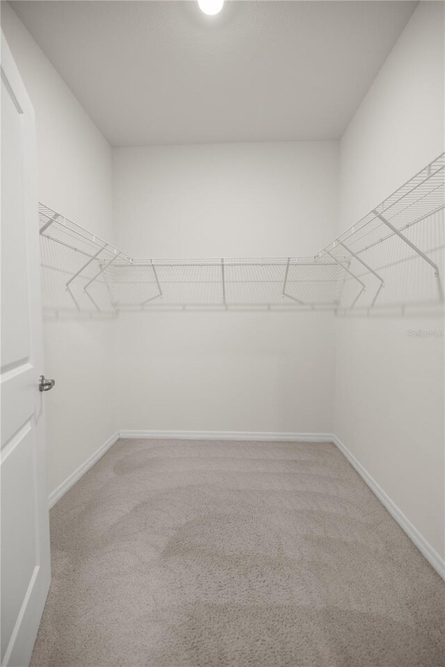 walk in closet featuring light colored carpet