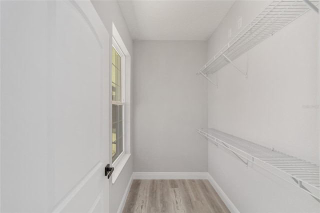 760 NE 152nd Ter, Williston, FL 32696 - walk in closet featuring light wood finished floors