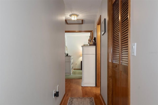 5557 N Sierra Ter, Beverly Hills, FL 34465 - hall featuring wood finished floors