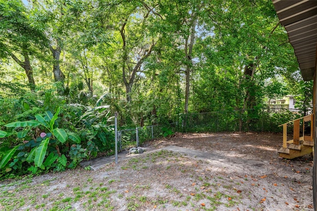 3910 SE 14th Ter, Gainesville, FL 32641 - view of yard