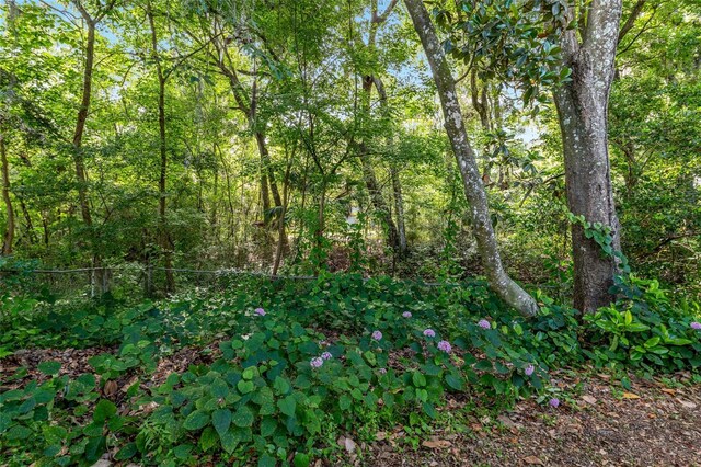 3910 SE 14th Ter, Gainesville, FL 32641 - view of wooded area