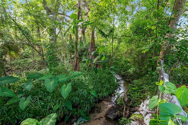3910 SE 14th Ter, Gainesville, FL 32641 - view of nature