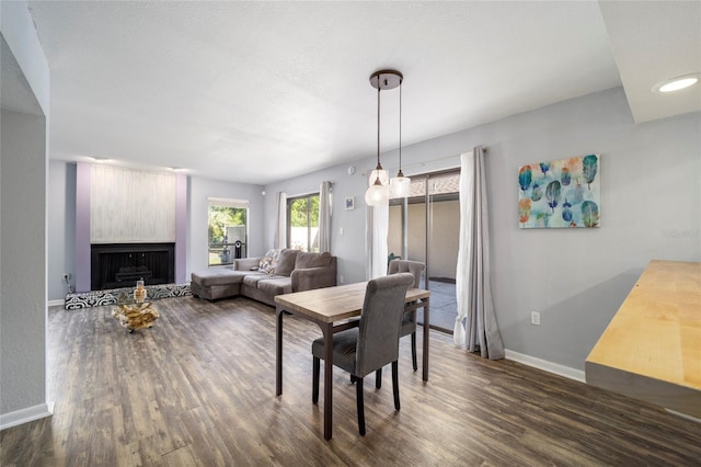 3870 NE 17th Street Cir, Ocala, FL 34470 - dining room featuring dark wood-style floors, baseboards, and a fireplace