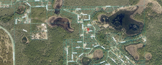 LOT12 SE 146th Pl, Umatilla, FL 32784 - photo 4