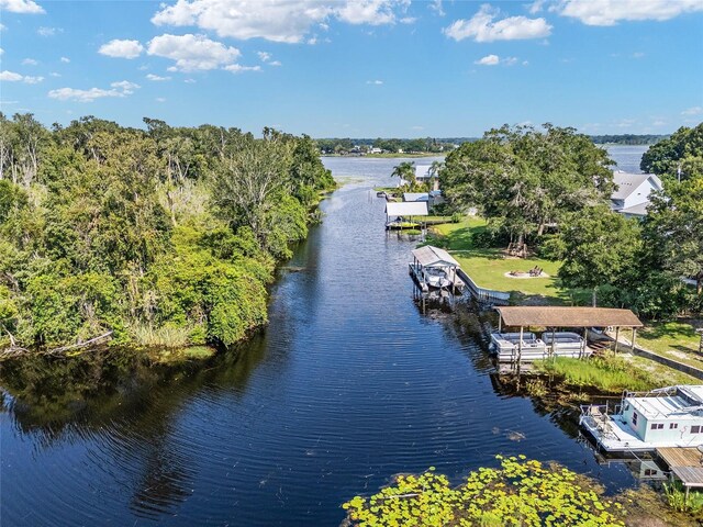 10625 SE 151st St, Summerfield, FL 34491 - photo 38