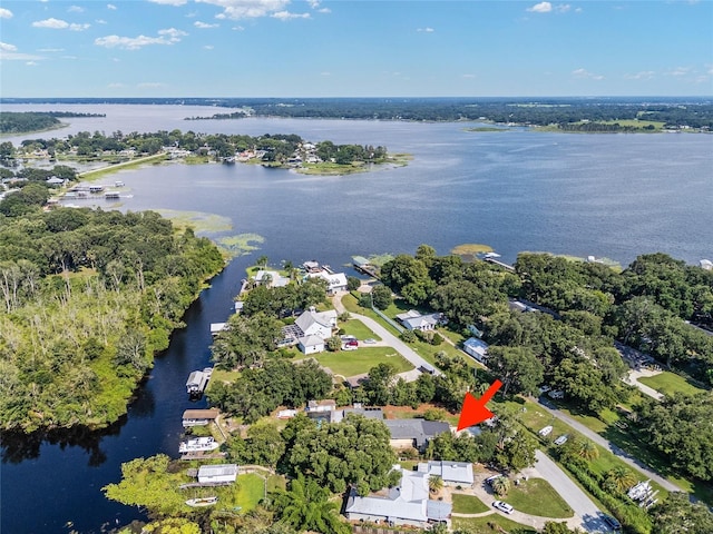 10625 SE 151st St, Summerfield, FL 34491 - photo 39