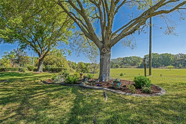 13968 SE 96th Cir, Summerfield, FL 34491 - view of green lawn