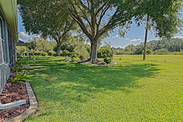 13968 SE 96th Cir, Summerfield, FL 34491 - view of green lawn