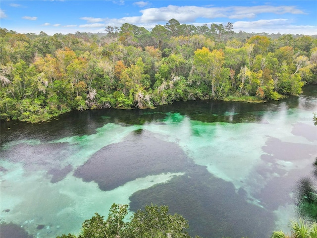 8869 SW 194th Ct, Dunnellon, FL 34432 - water view with a forest