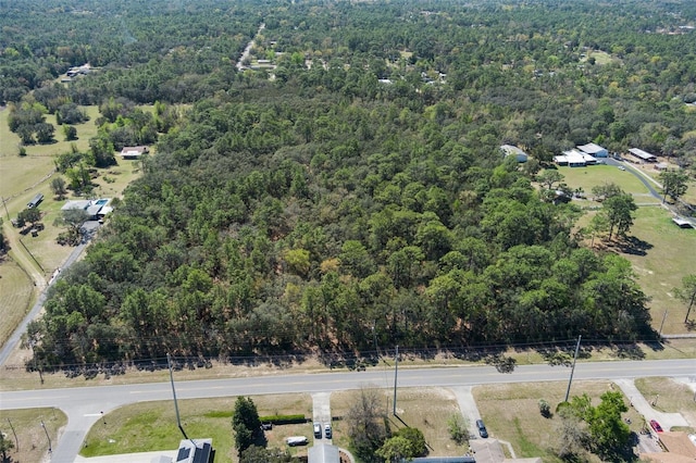 6190 W Grover Cleveland Blvd, Homosassa, FL 34446 - photo 1