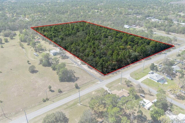 6190 W Grover Cleveland Blvd, Homosassa, FL 34446 - photo 5