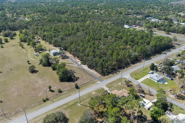 6190 W Grover Cleveland Blvd, Homosassa, FL 34446 - photo 6