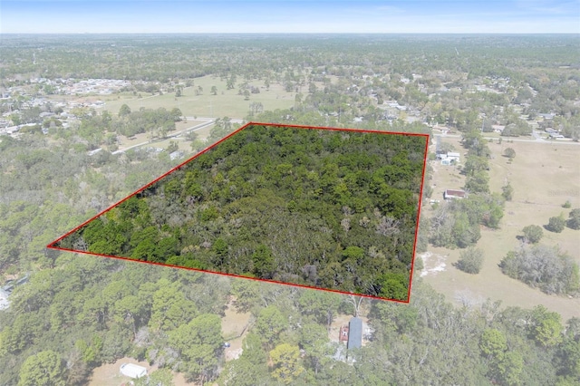 6190 W Grover Cleveland Blvd, Homosassa, FL 34446 - photo 9