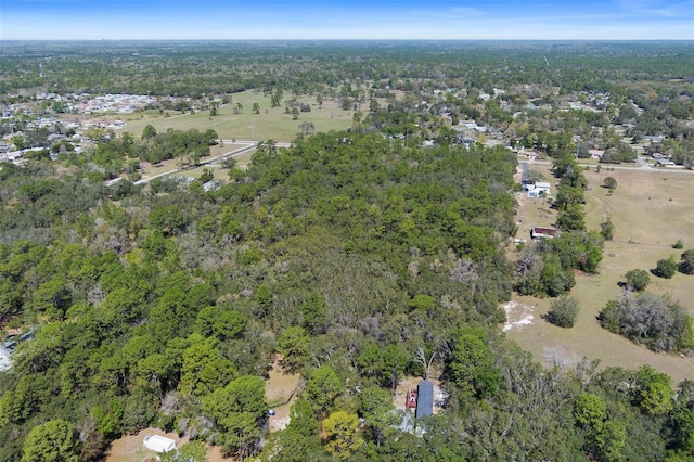 6190 W Grover Cleveland Blvd, Homosassa, FL 34446 - photo 10