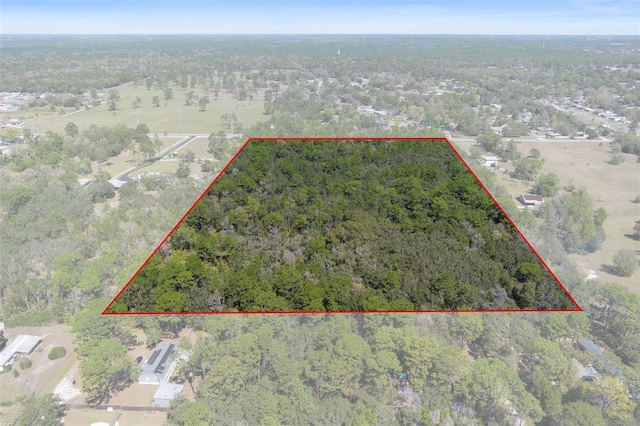 6190 W Grover Cleveland Blvd, Homosassa, FL 34446 - photo 11