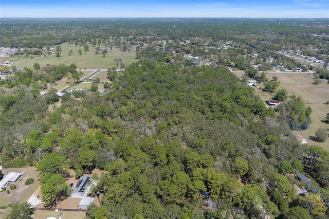 6190 W Grover Cleveland Blvd, Homosassa, FL 34446 - photo 12