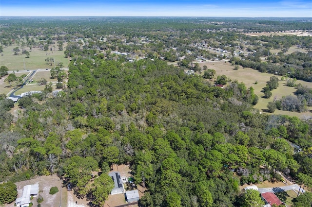 6190 W Grover Cleveland Blvd, Homosassa, FL 34446 - photo 13