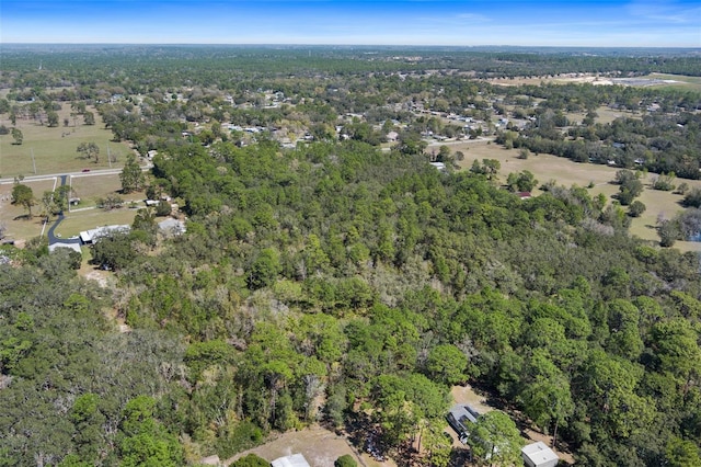 6190 W Grover Cleveland Blvd, Homosassa, FL 34446 - photo 14
