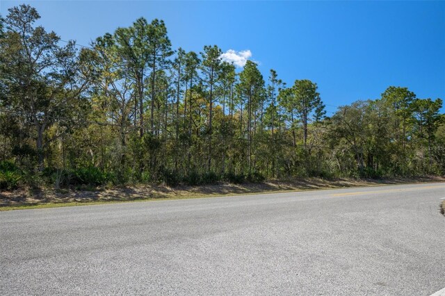 6190 W Grover Cleveland Blvd, Homosassa, FL 34446 - photo 15