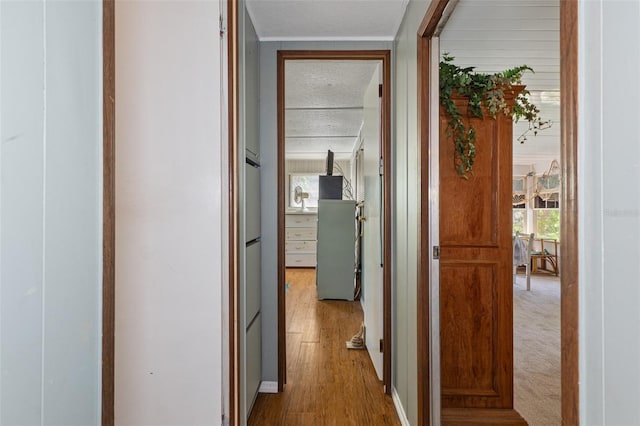 5368 S Parkland Ter, Homosassa, FL 34448 - hall with wood finished floors and plenty of natural light
