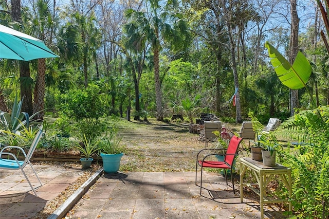 5368 S Parkland Ter, Homosassa, FL 34448 - view of yard with a patio area