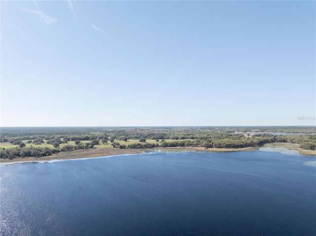 390 SW Shorewood Dr, Dunnellon, FL 34431 - water view