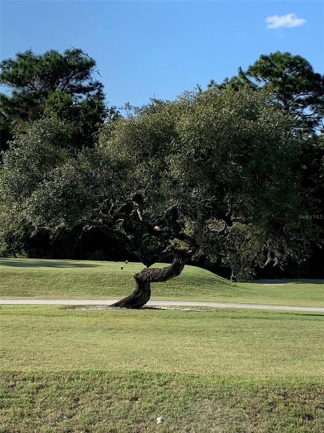 surrounding community featuring a lawn