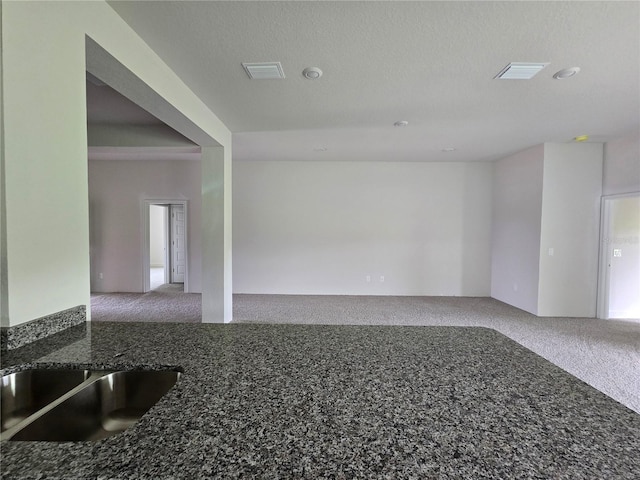 310 W Rexford Dr, Beverly Hills, FL 34465 - carpeted spare room featuring a sink