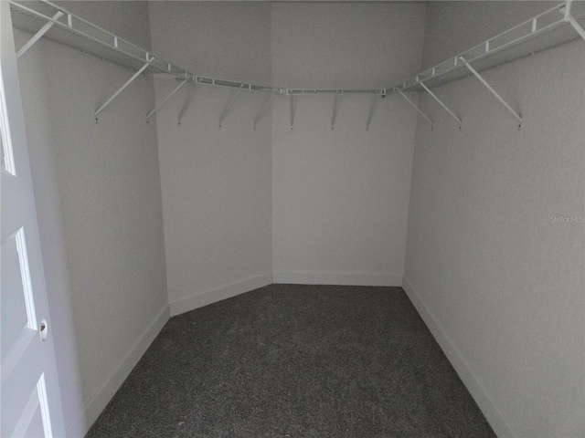 310 W Rexford Dr, Beverly Hills, FL 34465 - walk in closet with dark carpet