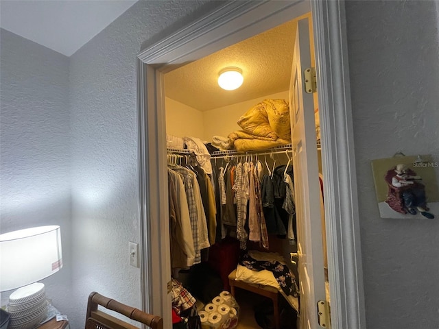 view of walk in closet