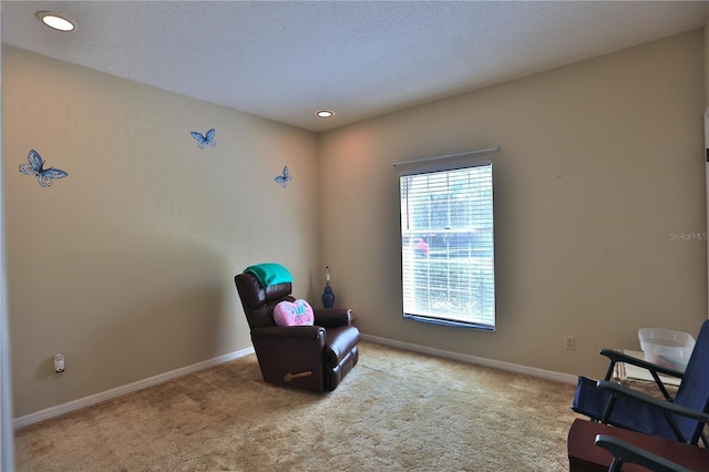 2881 SE 41st Pl, Ocala, FL 34480 - photo 12
