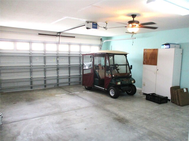 13780 SW 111th Ave, Dunnellon, FL 34432 - photo 53