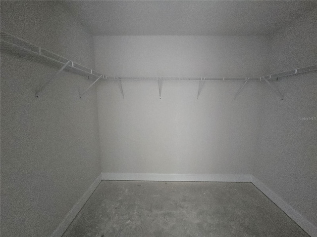 253 W Twisted Oaks Dr, Beverly Hills, FL 34465 - view of walk in closet