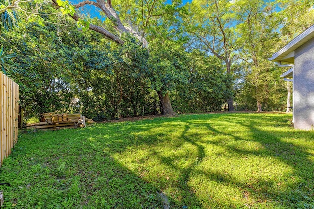 2922 SE 39th Pl, Ocala, FL 34480 - view of yard featuring fence