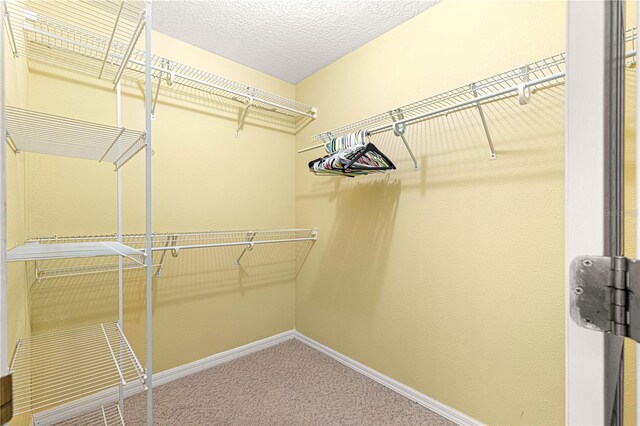 2922 SE 39th Pl, Ocala, FL 34480 - walk in closet with carpet