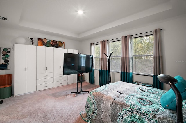 bedroom featuring light colored carpet, multiple windows, and a raised ceiling
