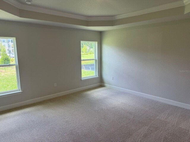 2166 NW 23rd Loop, Ocala, FL 34475 - carpeted spare room with ornamental molding, a tray ceiling, and baseboards